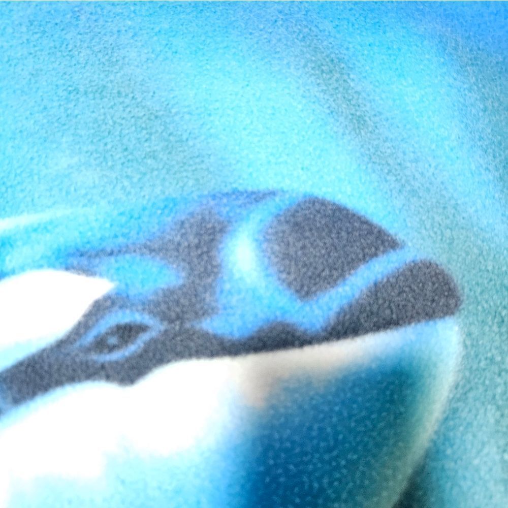 50x60 SeaWorld Fleece Blanket VINTAGE